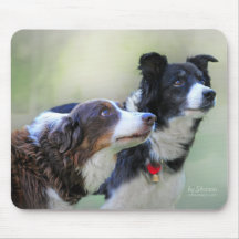 Border Collies Mouse Mats