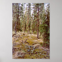 Boreal Forest floor Posters