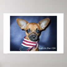 Born in the USA Print