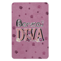 Borzoi DIVA Rectangular Magnets