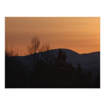 BOSI Boreal Silhouette Photographic Print