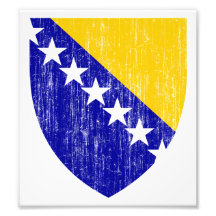 Bosnia And Herzegovina Coat Of Arms Photo