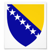 Bosnia And Herzegovina Coat Of Arms Photograph