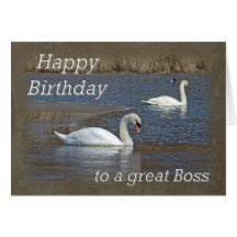 Boss Birthday - Mute Swans on Winter Pond Cards