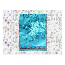 Boston Botanical Gardens Post Card