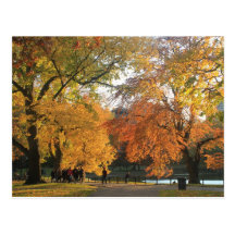 Boston Public Garden Autumn Postcard