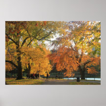 Boston Public Garden Autumn Poster