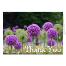 Boston Public Garden card