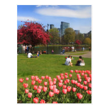 Boston Public Garden Spring Afternoon Post Cards