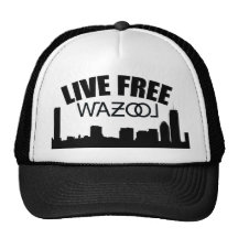 Boston Skyline Hat