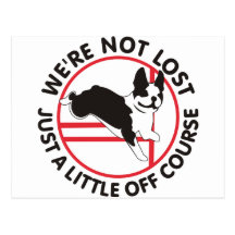 Boston Terrier Agility Off Course Postcard