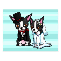 Boston Terrier Bride and Groom Post Cards