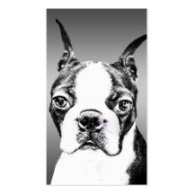 Boston Terrier Business Card
