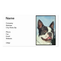 Boston Terrier Business Card