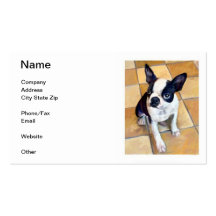 Boston Terrier Business Cards