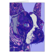 Boston Terrier Card