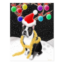 Boston Terrier Christmas Postcard
