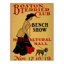 Boston Terrier Club Postcards