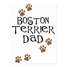 Boston Terrier Dad Postcard
