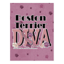 Boston Terrier DIVA Postcard