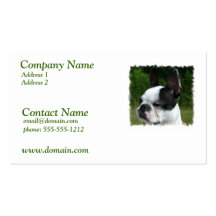 Boston Terrier Dog Business Card