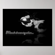 Boston Terrier Dreams - Print