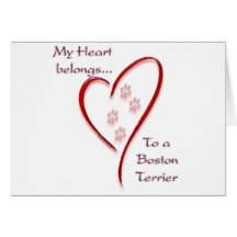 Boston Terrier Heart Belongs Cards