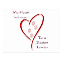 Boston Terrier Heart Belongs Post Cards