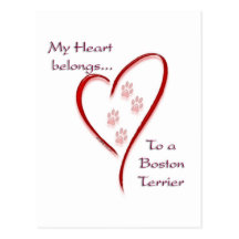 Boston Terrier Heart Belongs Postcards