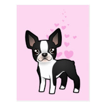 Boston Terrier Love Postcard