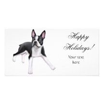 Boston Terrier Photo Card