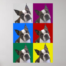 Boston Terrier Pop Art Poster