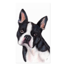 Boston Terrier Portrait Business Cards