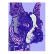 Boston Terrier Postcard