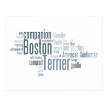 Boston Terrier Postcard