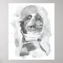 Boston Terrier Print