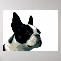 Boston Terrier Print