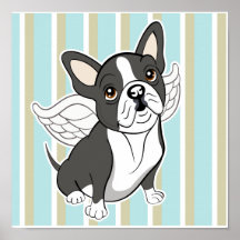 Boston terrier Poster
