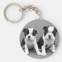 Boston Terrier Puppies keychain