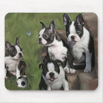 Boston Terrier Puppies Mouse Mats