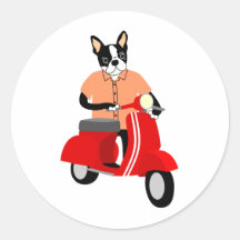 Boston Terrier   Scooter Sticker