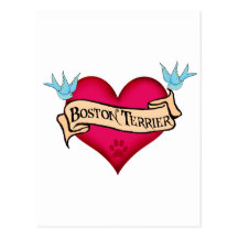 Boston Terrier Tattoo Heart Postcard