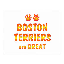 Boston Terriers are Great Postcards