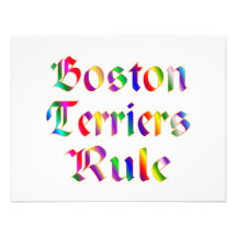 Boston Terriers Rule Custom Announcement