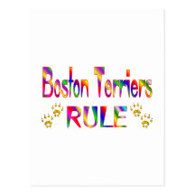 Boston Terriers Rule Postcards