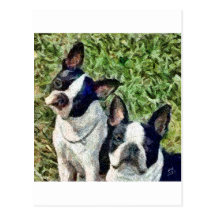 Boston Terriers - Skipper & Dee Dee Postcards