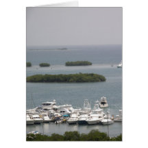 Botes en La Parguera Greeting Cards