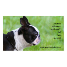 Boton Terrier business cards