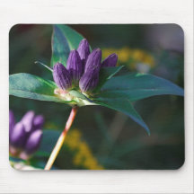 Bottled Genetian Mouse Pads