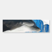 Bottlenose Dolphin Bumper Stickers